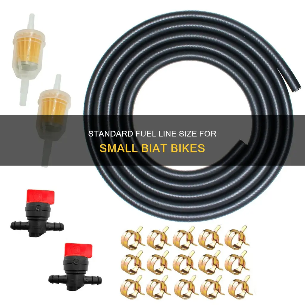 what size fuel line is standard on a small biat