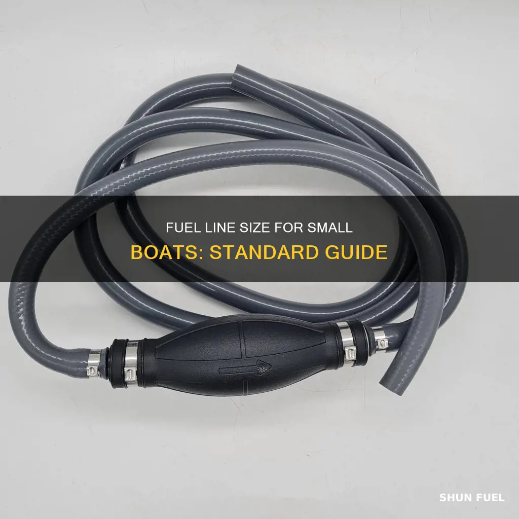 what size fuel line is standard on a small biat