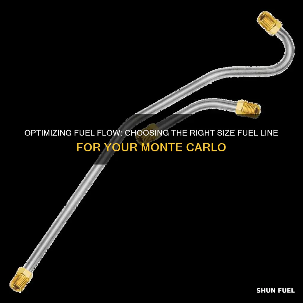 what size fuel line monte carlo