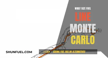 Fuel Line Size Guide for a Smooth Monte Carlo Ride