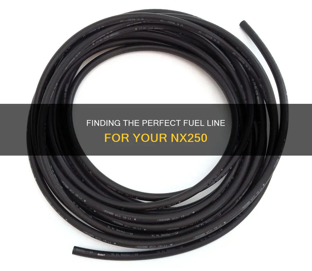 what size fuel line nx250