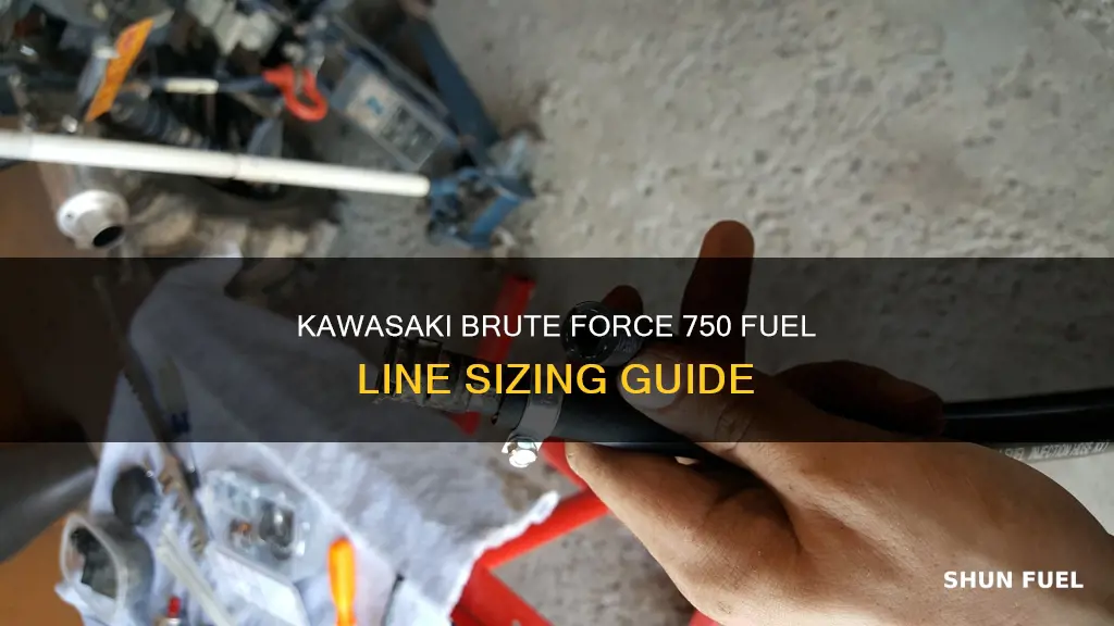 what size fuel line on kawasaki brute force 750