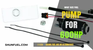 Choosing the Right Fuel Pump for 600HP Engines: Size Guide