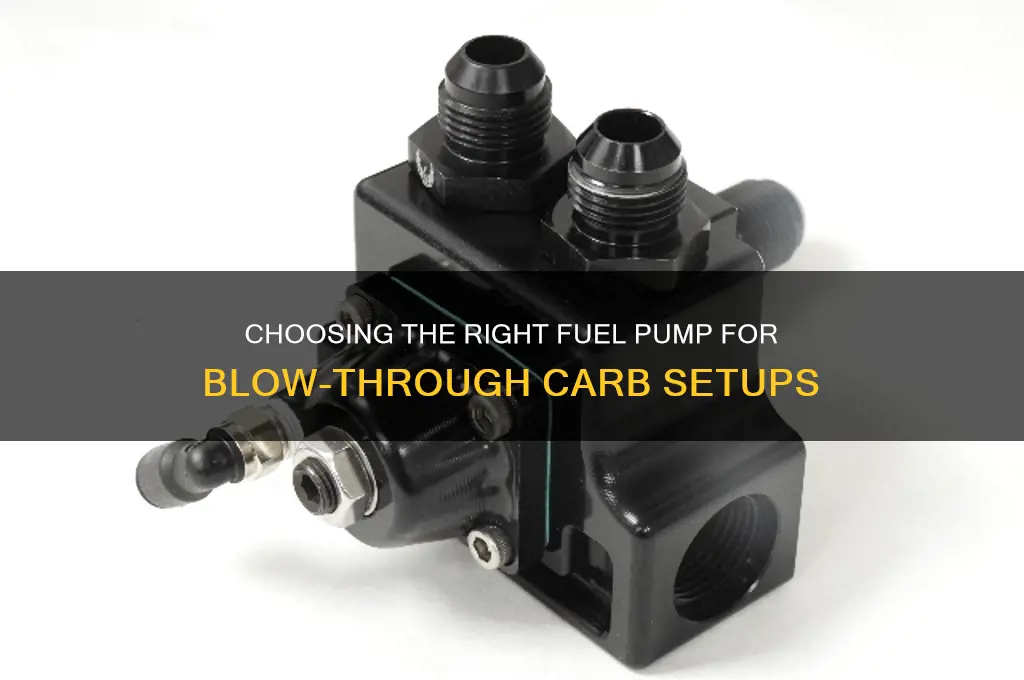 what size fuel pump for blow through carb