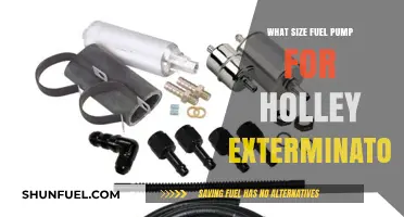 Choosing the Right Fuel Pump for Your Holley Exterminator Setup