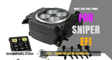 Choosing the Right Fuel Pump Size for Your Sniper EFI Setup