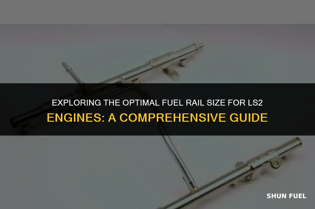 what size fuel rail ls2