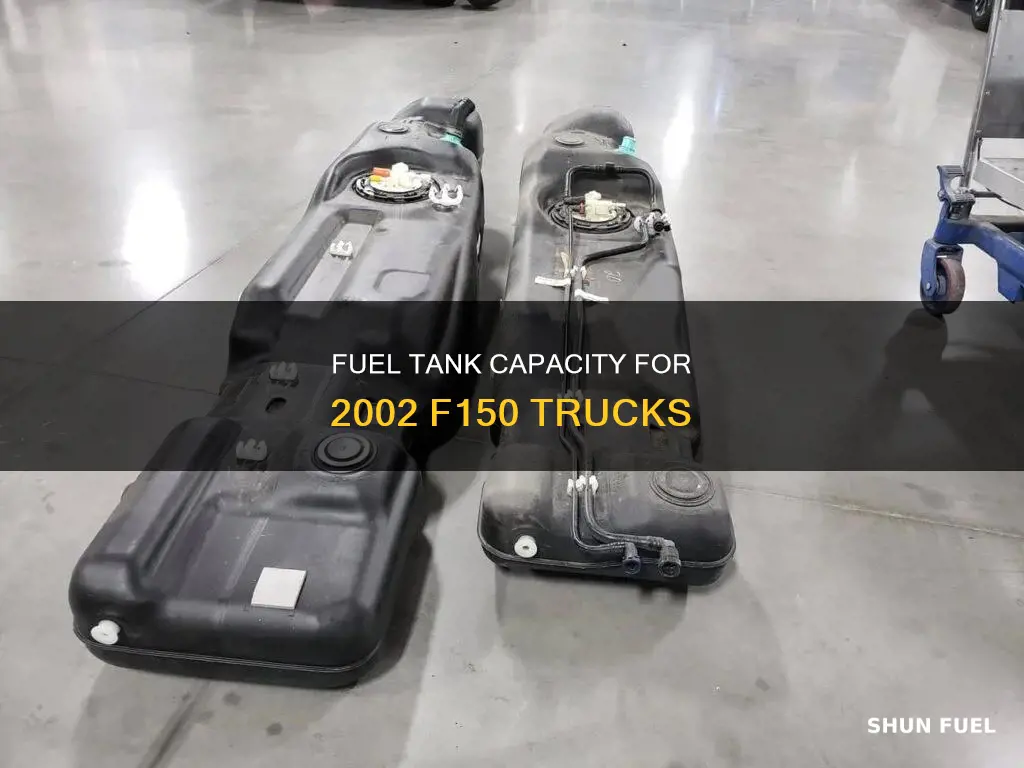 what size fuel tank on a 2002 f150