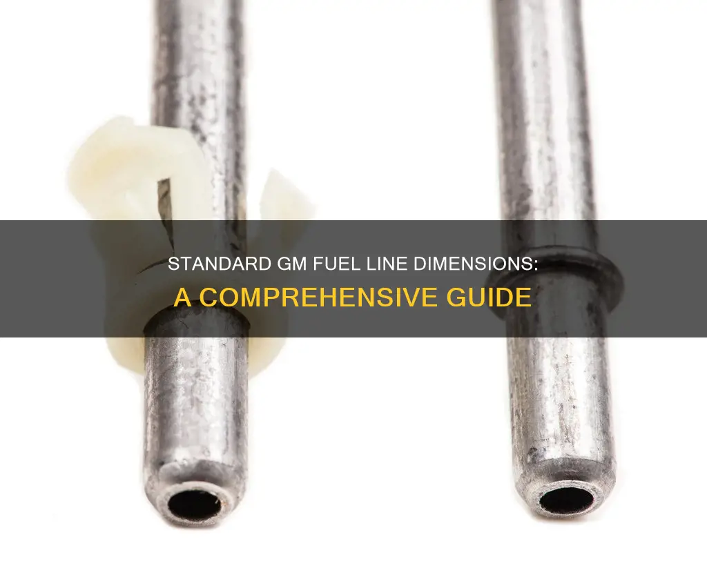 what size is a standard gm fuel line