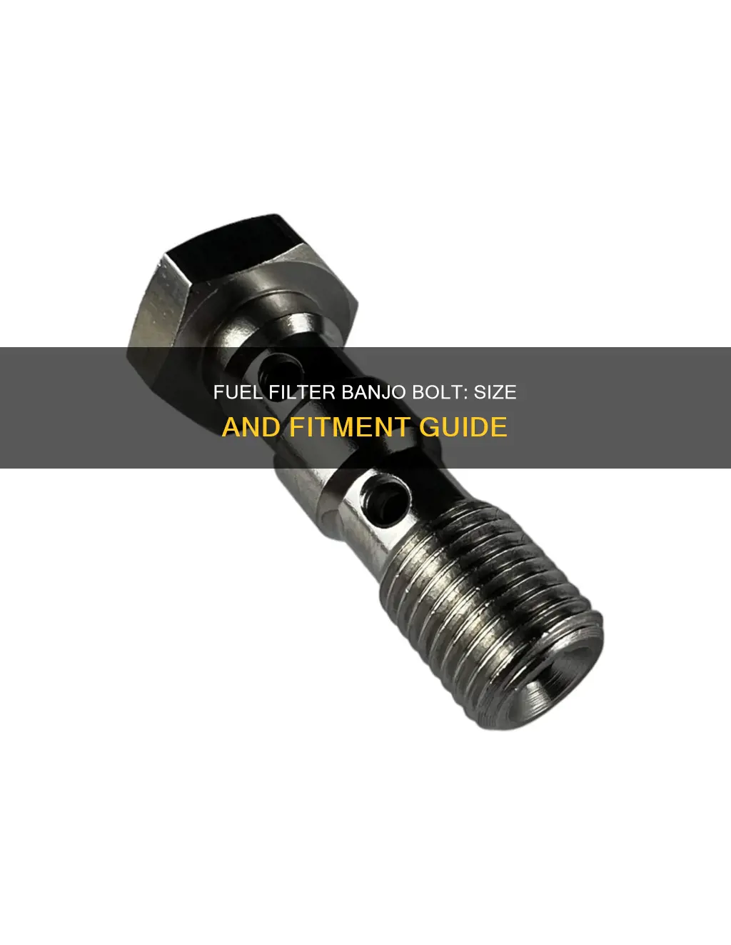 what size is banjo bolt for fuel filter dsm