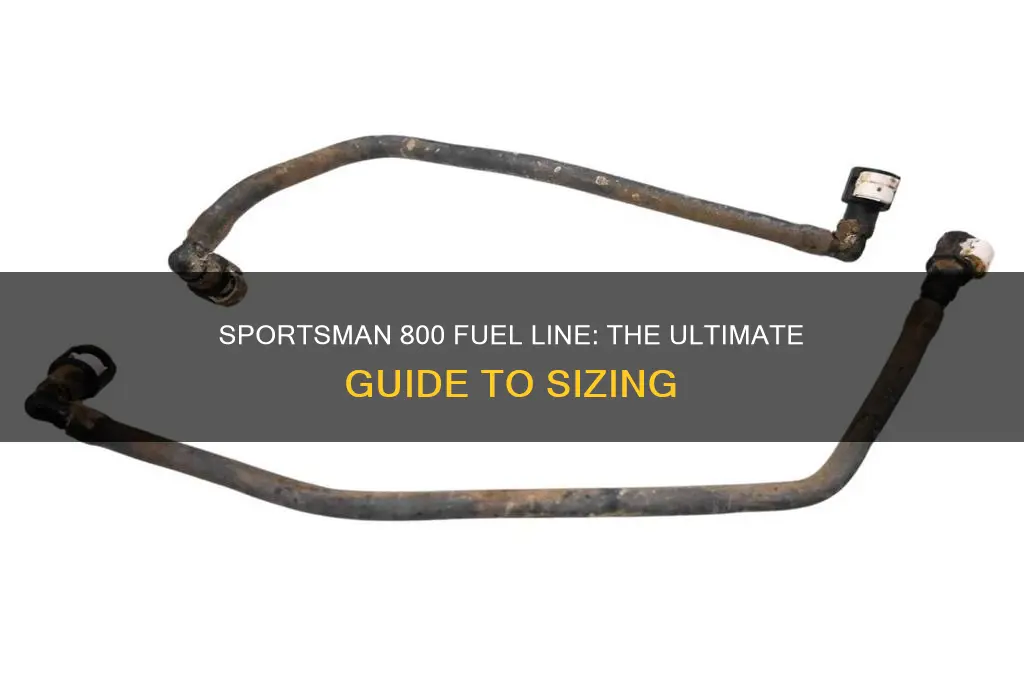 what size is sportsman 800 fuel line