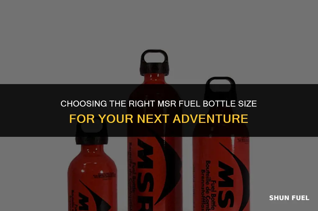 what size msr fuel bottle