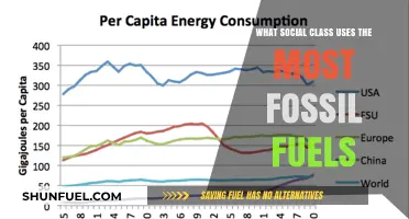 Which Social Class Consumes the Most Fossil Fuels?