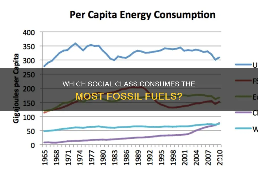 what social class uses the most fossil fuels