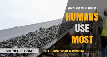 The Dominant Solid Fossil Fuel: Humanity's Most Used Energy Source