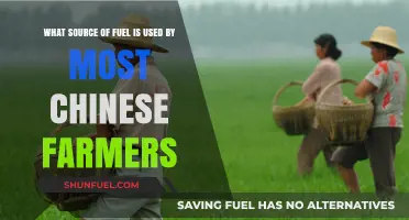 China's Agricultural Energy: Primary Fuel Sources for Farmers Revealed