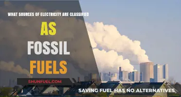 Fossil Fuels: Identifying Electricity Sources Derived from Ancient Energy