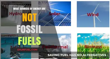 Exploring Renewable Energy Alternatives Beyond Fossil Fuels: Clean Power Sources