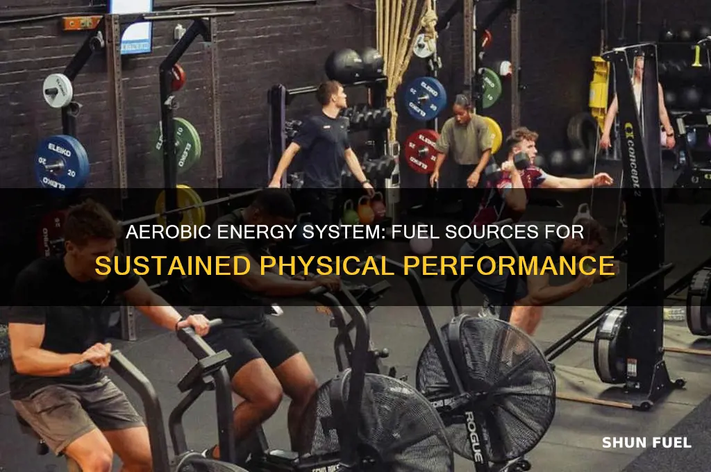what sources of fuel does the aerobic energy system use
