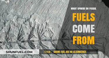 Unveiling the Ancient Origins of Fossil Fuels: A Geological Journey