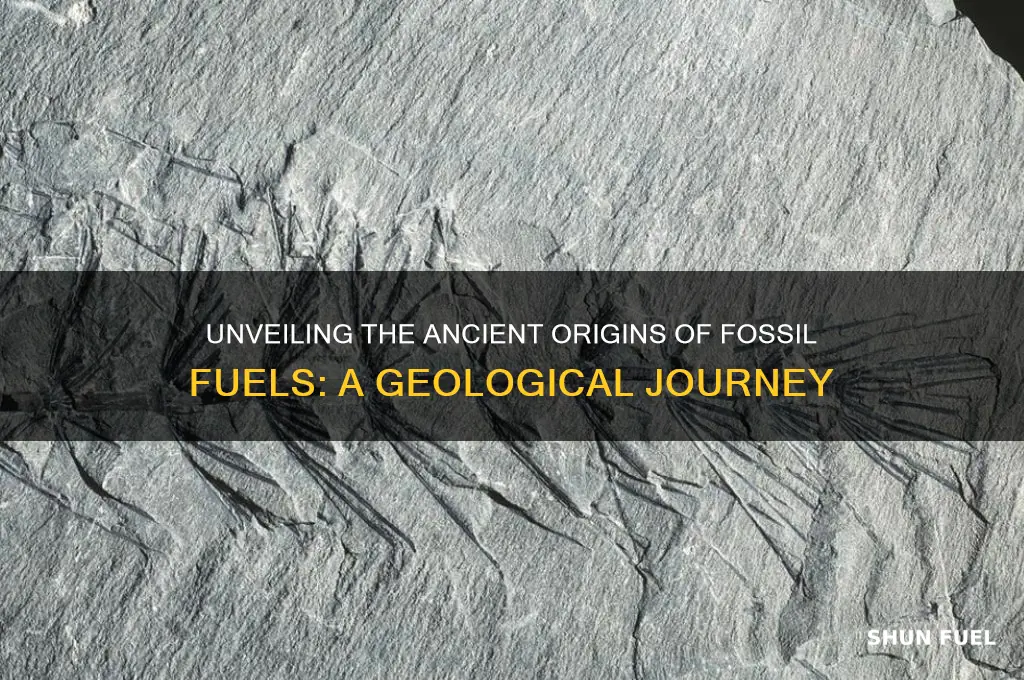 what sphere do fossil fuels come from
