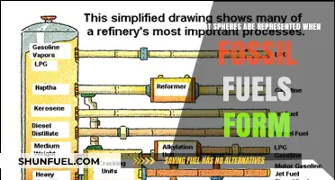Exploring the Geosphere, Biosphere, and Atmosphere in Fossil Fuel Formation