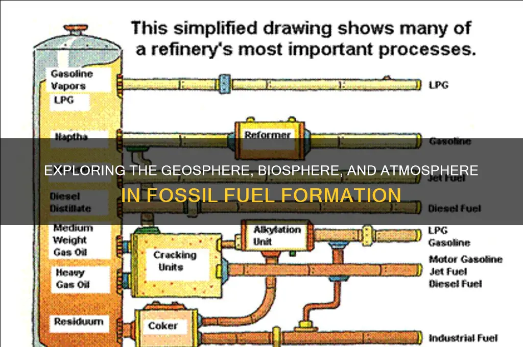what spheres are represented when fossil fuels form