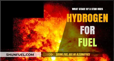 Hydrogen Fuel: The Main Sequence Stage of Stellar Evolution