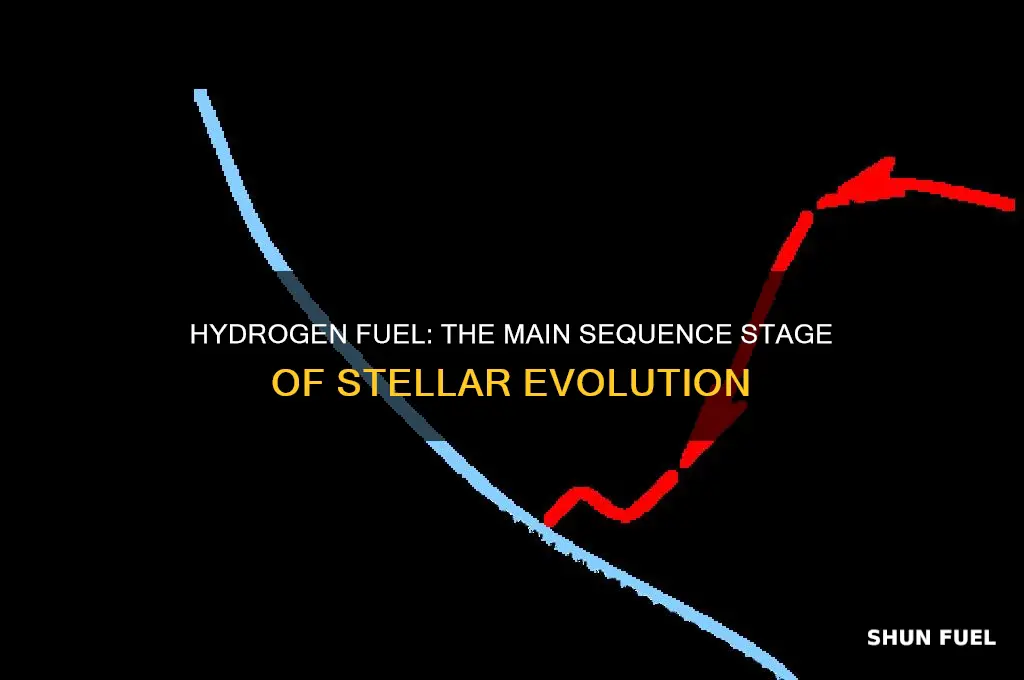 what stage of a star uses hydrogen for fuel