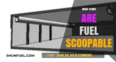 Unlocking the Secrets: Which Stars Harbor Scoopable Fuel?