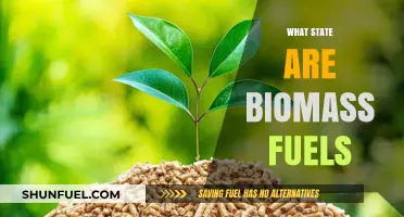 Exploring the Current State of Biomass Fuels: A Sustainable Future?