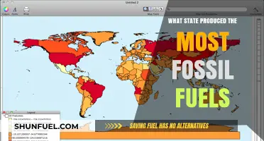 Which U.S. State Dominates Fossil Fuel Production?