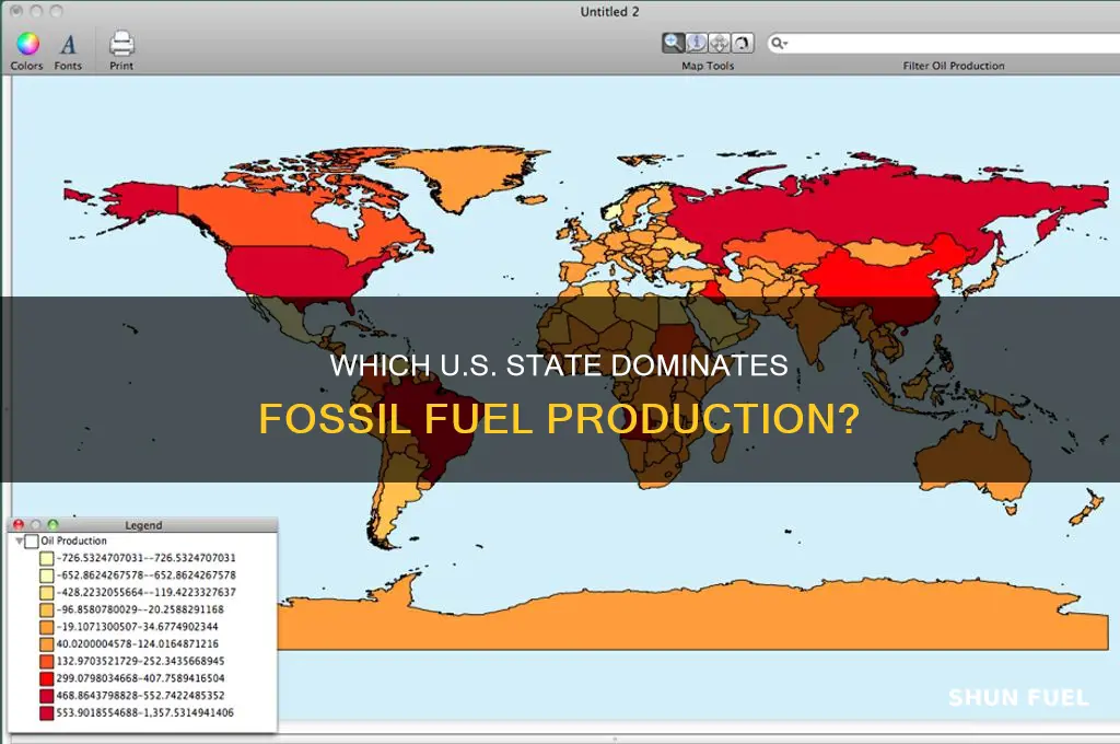 what state produced the most fossil fuels