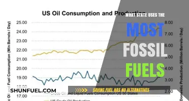 Which U.S. State Consumes the Most Fossil Fuels Annually?