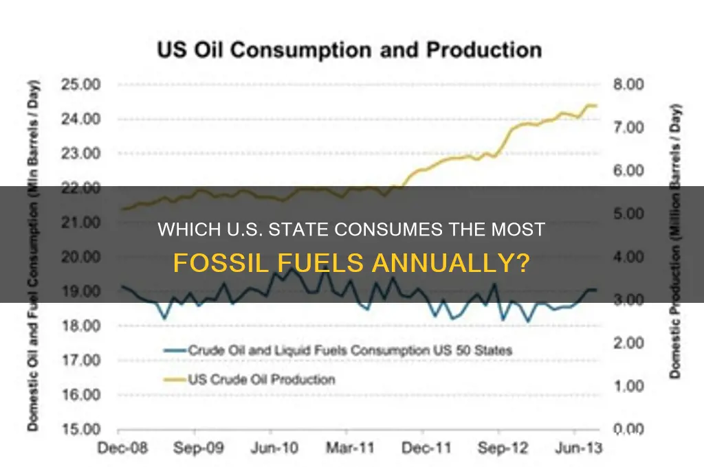 what state uses the most fossil fuels