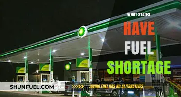 Fuel Shortages Across the Nation: Which States Are Most Affected?