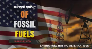 Fossil Fuel Dependence: States Powering Economies with Non-Renewable Energy