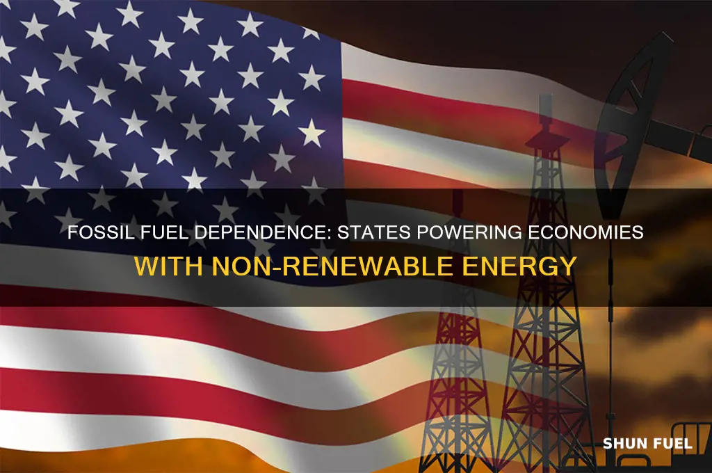 what states thrive off of fossil fuels