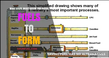 From Ancient Organisms to Energy: The Journey of Fossil Fuel Formation