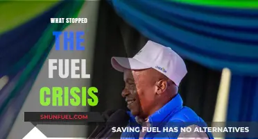 How Strategic Reserves and Global Cooperation Ended the Fuel Crisis