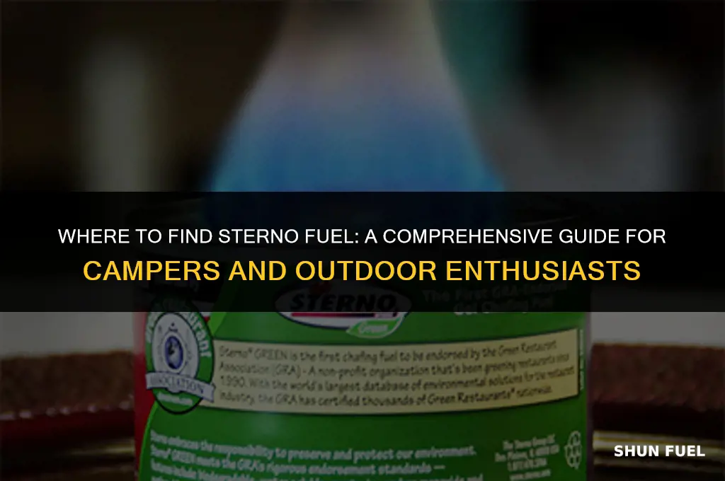 what stores have sterno fuel