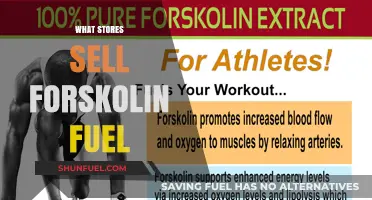 Where to Buy Forskolin Fuel: Top Stores and Online Options
