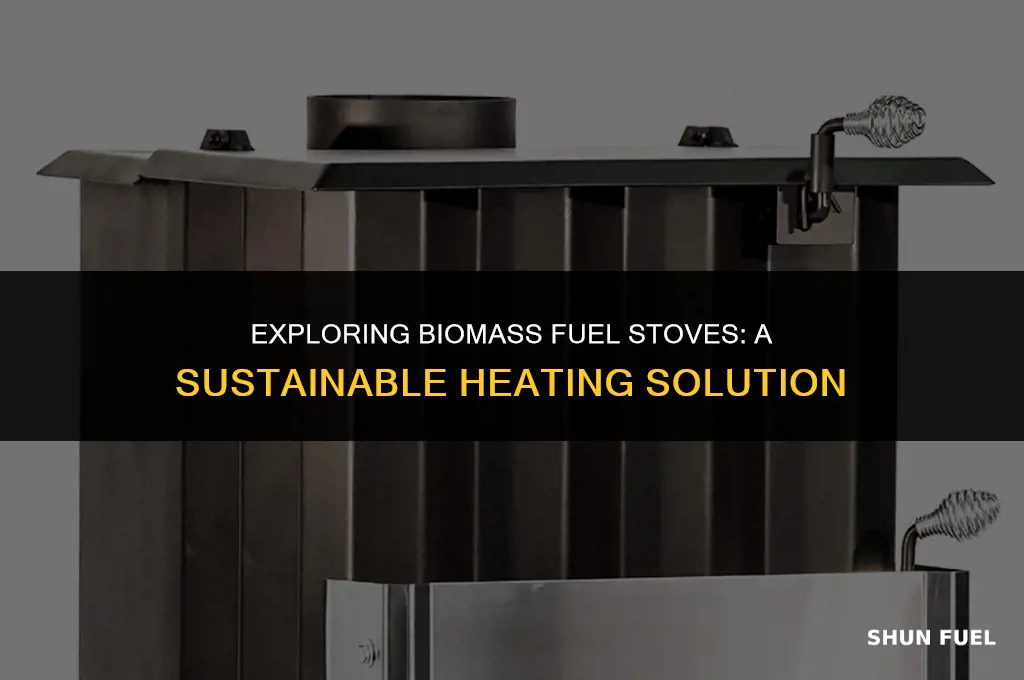 what stove burns biomass fuel