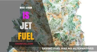 Exploring Jet Fuel Strain: Origins, Effects, and Cannabis Culture Impact