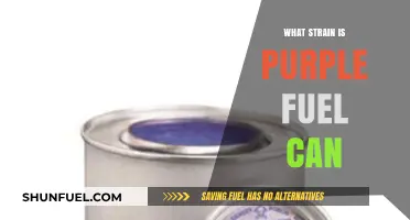 Purple Fuel Can Strain: Unveiling the Genetics and Effects
