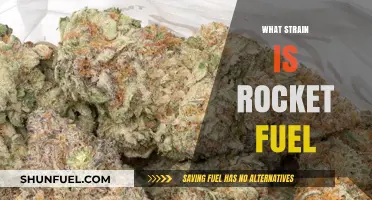 Exploring the Potency: What Strain is Rocket Fuel?