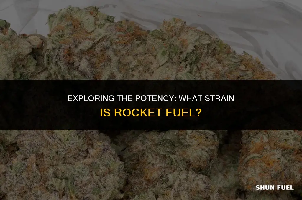 what strain is rocket fuel