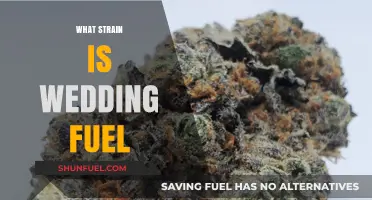Unveiling the Perfect Strain: Wedding Fuel for the Modern Bride