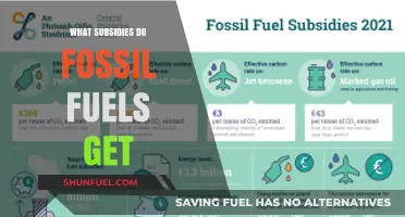 Unveiling the Hidden Support: Fossil Fuel Subsidies Explained