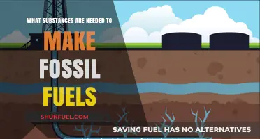 Organic Matter, Heat, Pressure: Key Ingredients for Fossil Fuel Formation